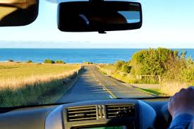 Gorilla heavy duty construction adhesive: Carbon Negative Concrete Can Mitigate Climate Change