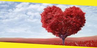 Some of the most famous chinese proverbs are 成语 (chéngyǔ) — these are proverbs that are four characters long, occasionally six. Top 20 Chinese Quotes About Love