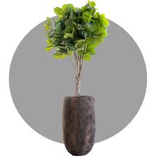 Bring nature to your home with our stylish plant pots and garden planters! Home Pottery Pots Us