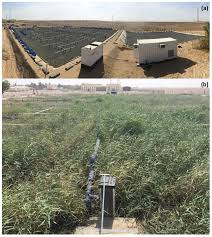 Personally, i'm very impressed by what deepl is able to do and yes, i think it's really great that this new stage in the evolution of machine translation was not achieved with software from facebook, microsoft, apple or google, but by a german company. Water Free Full Text Constructed Wetlands For Sustainable Wastewater Treatment In Hot And Arid Climates Opportunities Challenges And Case Studies In The Middle East Html