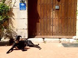 Admitimos mascotas dependiendo del tipo de animal. Nuestra Casa Turismo Rural Mascotas Girona Mastorrencito Casa Rural