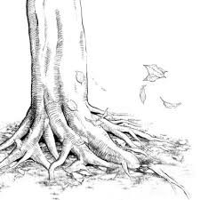 If you trim your trees every few years to make the backyard more orderly, you can use those clippings to plant new trees. What It S That Easy Draw A Complex Tree Root With Trunk Branch Root Brush Material Manga Materials