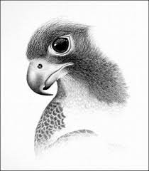 We did not find results for: Turn Your Photo Or Picture Into A Pencil Sketch Drawing By Pencilperfect Fiverr