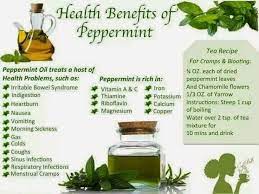 Great Health Benefits Of Peppermint Peppermint Tea Benefits Simply Aroma Peppermint Tea