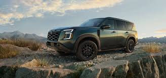 Image result for Dark Brown 2025 Fleet