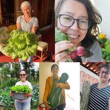 🍄 Lista de espera guia Árvores Frutíferas