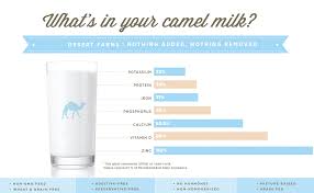 Camels, as you know, are large dromedary mammals most commonly associated in fact, in most states, selling it is illegal. Organic Fresh Frozen Camel Milk Fresh Flavor With Health Benefits Raw Natural Grade A Gently Pasteurized From Healthy Camels In Midwest Made In The Usa 6 Pack