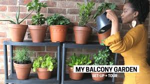 Choose clay pots, plastic ones, or just containers that decorate your balcony garden the way you'd like to decorate it. Grow Vegetables On Balcony Bloom And Grow Photography