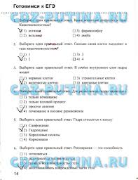 гдз по английскому 3 класс рабочая тетрадь Enjoy English Gotovye Domashnie Zadaniya 2 Yunit Nomer 49 Stranica 45 Po Anglijskomu Yazyku Po Uchebniku Enjoy English 7 Klass Uchebnik Biologiya Klass