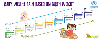 baby weight chart when born babyzone pregnancy chart average