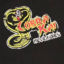 The Haints Co Op Speaking The Truth Karate Kid Karate Kid Cobra Kai Cobra Kai Dojo