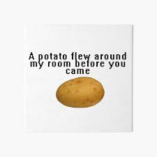 Then, a few days later, vine user lil syd from the trap created this so what about the potato that flew around your room? Freestyle Dance Teacher Vine Art Board Print By Lilsammi Redbubble
