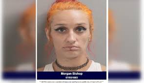 Houston Area Woman Arrested for Felony Drug Possession After Traffic