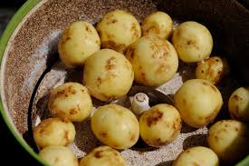 Årets första färskpotatis är här