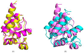Talon/lpe was established in september 1997 with six employees and offices in amarillo and midland, texas. Ijms Free Full Text Pea 15 C Terminal Tail Allosterically Modulates Death Effector Domain Conformation And Facilitates Protein Protein Interactions Html