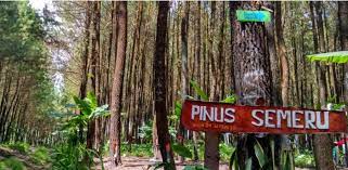 Taman nasional bromo tengger semeru (10,200.64 mi) tosari, east java, indonesia, 67177 Daftar Wisata Di Kecamatan Wajak Kabupaten Malang Ngalam Co