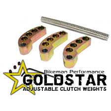 850 Patriot Clutch Weights Ramps Snowest