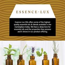Tan luxe wonder oil illuminating self tan oil light medium s werelds eerste echte op olie gebaseerde zelfbruiner met een verkoelende rollerball applicator deze unieke zelfbruiningsolie is verrijkt met active tanning ingredienten en een mix van zes pure plantaardige en omega olien waaronder jojoba argan. Essence Lux Roman Chamomile Essential Oil Pure Natural Therapeutic Grade Essential Oil 10ml Walmart Com Walmart Com