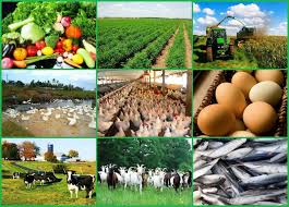 Small Business Ideas How To Start Agricultural Farming Business Ideas Farming Business Agribusiness Farm Business