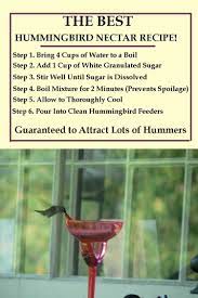 Pin By Allie Snyder On Washington Home Hummingbird Nectar Recipe Hummingbird Nectar Humming Bird Feeders