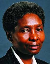 Four schools join Telkom Adopt-a-Project initiative