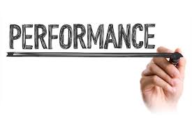 Il Cittadino Valutatore Delle Performance