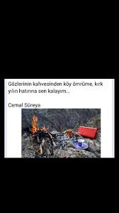 Gozlerinin Kahvesinden Koy Omrume Kirk Yilin Hatrina Sen Kalayim Cemal Sureya Guzel Soz Gozler