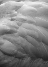 Archillect On Twitter Angel Aesthetic Angel White Aesthetic