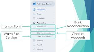 Introduction To Wave Accounting For Beginners 2019