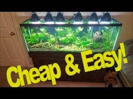 All that said, there are some marginal plants that hold up well in a fish tank. Diy Lighting For Your Planted Tank Cheap And Easy Youtube
