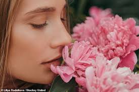 Susannah Taylor: Lost your sense of smell?