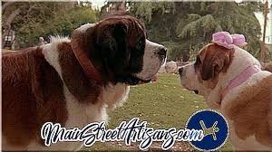 Hier ein video von unserem rumänischen straßenhund beethoven. Beethoven 2 Die Schauspieler Menschen Und Hunde Gute Arbeit Im Tandem Filme 2021