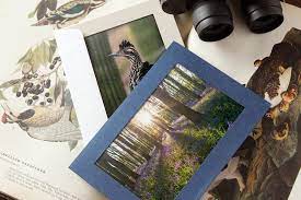 You can add your own picture, image, design, or artwork and create a unique note card. How To Sell Your Nature Photography Studio Style