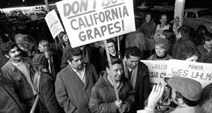 Labor History Lesson: The Grape Boycott | AFT Connecticut
