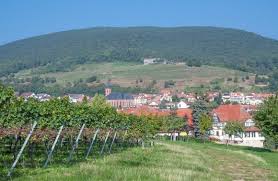 Maarten is home to activities like zip lining, dining on french food, and experiencing nature (with a map). St Martin Picturesque Little Village On The Wine Road Travel Events Culture Tips For Americans Stationed In Germany
