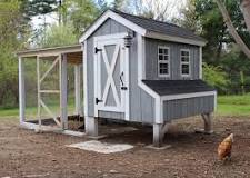 The Best Chicken Coops You Can Buy Online