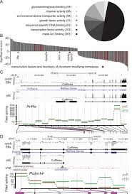 Cystic Ebs Have A Different Regulatory Network Than The Yolk