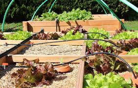 Le Sol S Epuise Il Faut L Amender Le Potager Du Poiraud