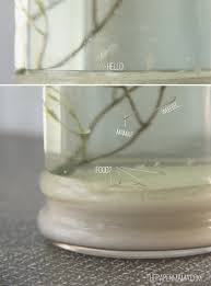 Let's just say i'm glad i'm not a sea monkey. Diy Sea Monkey Kit Much Cuter Than The Store Bought