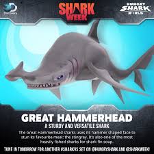 Pin On Juegos Y Series