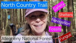 North Country Trail Allegheny National Forest Section Hike Recap