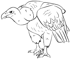Make a fun coloring book out of family photos wi. Vulture 10 Coloring Page Free Printable Coloring Pages For Kids