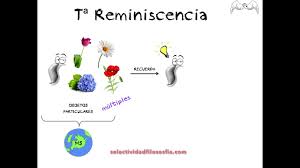 From late latin reminīscentiae (remembrances), from latin reminīscēns, present active participle of reminīscor (to remember). Teoria De La Reminiscencia Platon Youtube