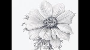 He watched as the flower started to reach out for the kids soul. How To Draw Flowers Realistically Youtube