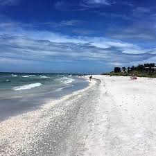 Check the tide charts and find a night to go out on the beach in the dark during low tide. The Search For Sanibel Island Shells Two Traveling Texans
