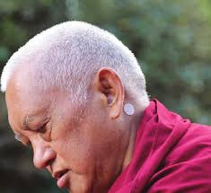 FPMT ANNUAL REVIEW 2015