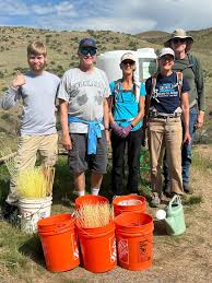 Valley Fire Foothills Restoration Project — Golden Eagle Audubon
