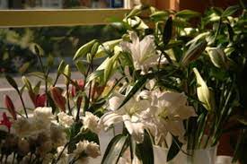 My favourite flower quotes and verses. Flowers Of Distinction 261 Sheffield Road Birdwell Barnsley South Yorkshire S70 5tn South Yorkshire Times