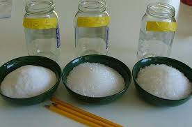 We Are Going To Compare The Growth Of Crystals Made From Table Salt Epsom Salt And Rock Salt We Added A Litt Growing Crystals Salt Crystal Crystals For Kids