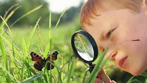 Teks laporan hasil observasi adalah tulisan hasil pengamatan atas suatu hal. Contoh Laporan Pengamatan Yang Singkat Btr Books